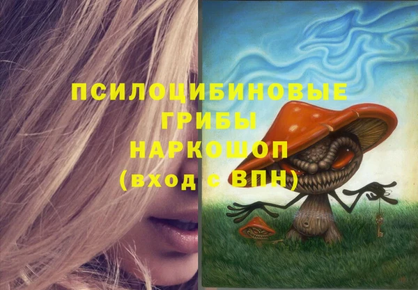 дживик Янаул