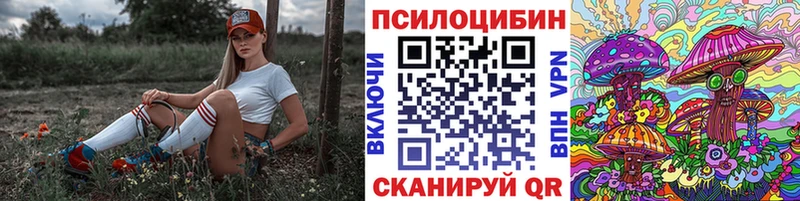 Галлюциногенные грибы прущие грибы  Данилов 